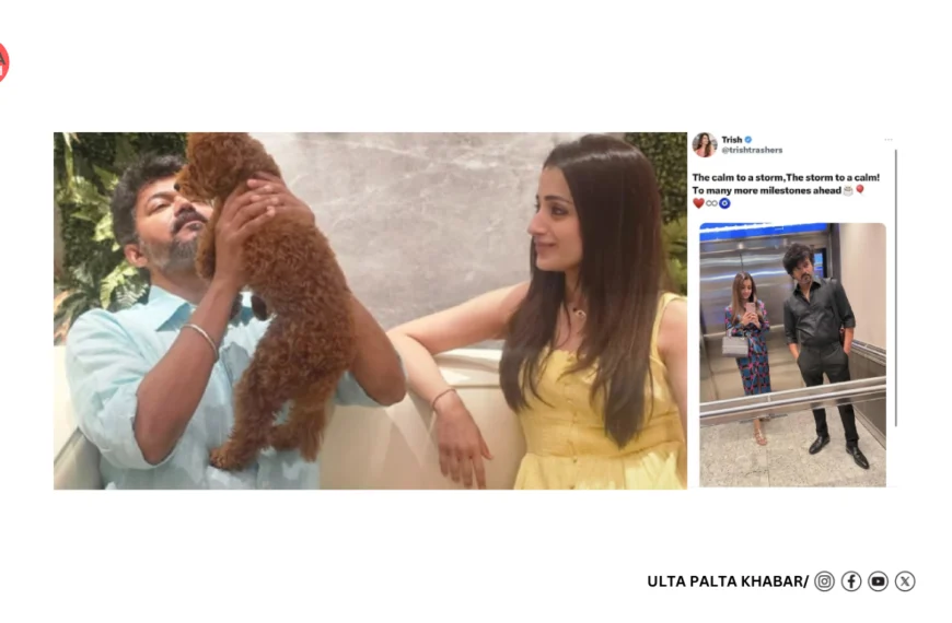 Trisha’s Adorable Birthday Post for Vijay Sparks Dating Buzz Again!