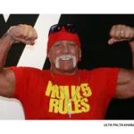 Hulk Hogan’s Final Victory: How a Sex Tape Scandal Took Down Gawker and Changed Celebrity Privacy Forever