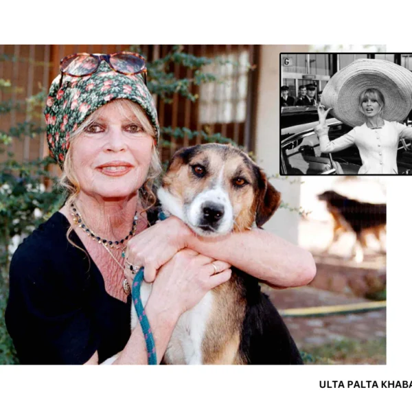 Brigitte Bardot Dies at 91: The Woman Who&hellip;