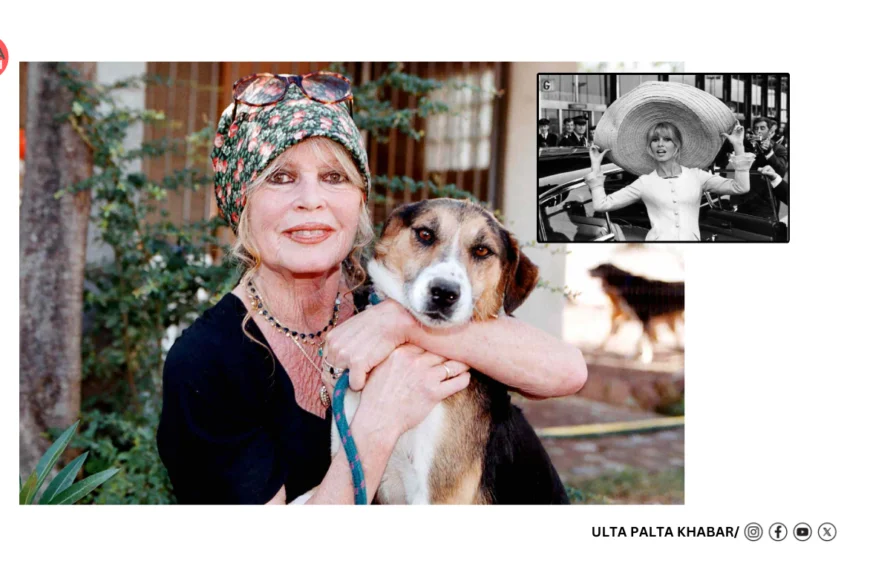 Brigitte Bardot Dies at 91: The Woman Who Redefined Cinema, Desire, and Celebrity Forever